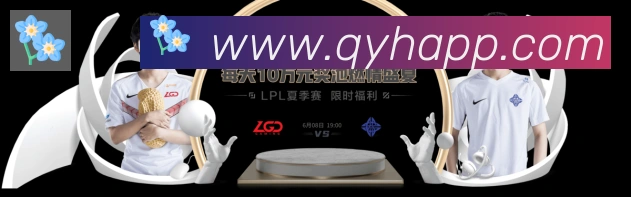 企业概况